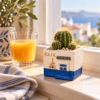 Μικρό κασπώ Café Venice με κάκτο σε φωτεινό περβάζι με θέα τη θάλασσα